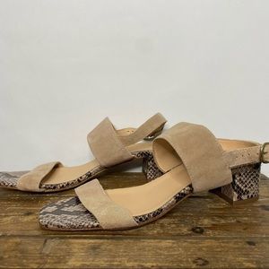 Avellini Snake Print Square Toe Block Heel Suede Heels